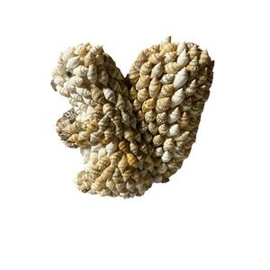Shell-Covered Squirrel Figurine. Collectables.